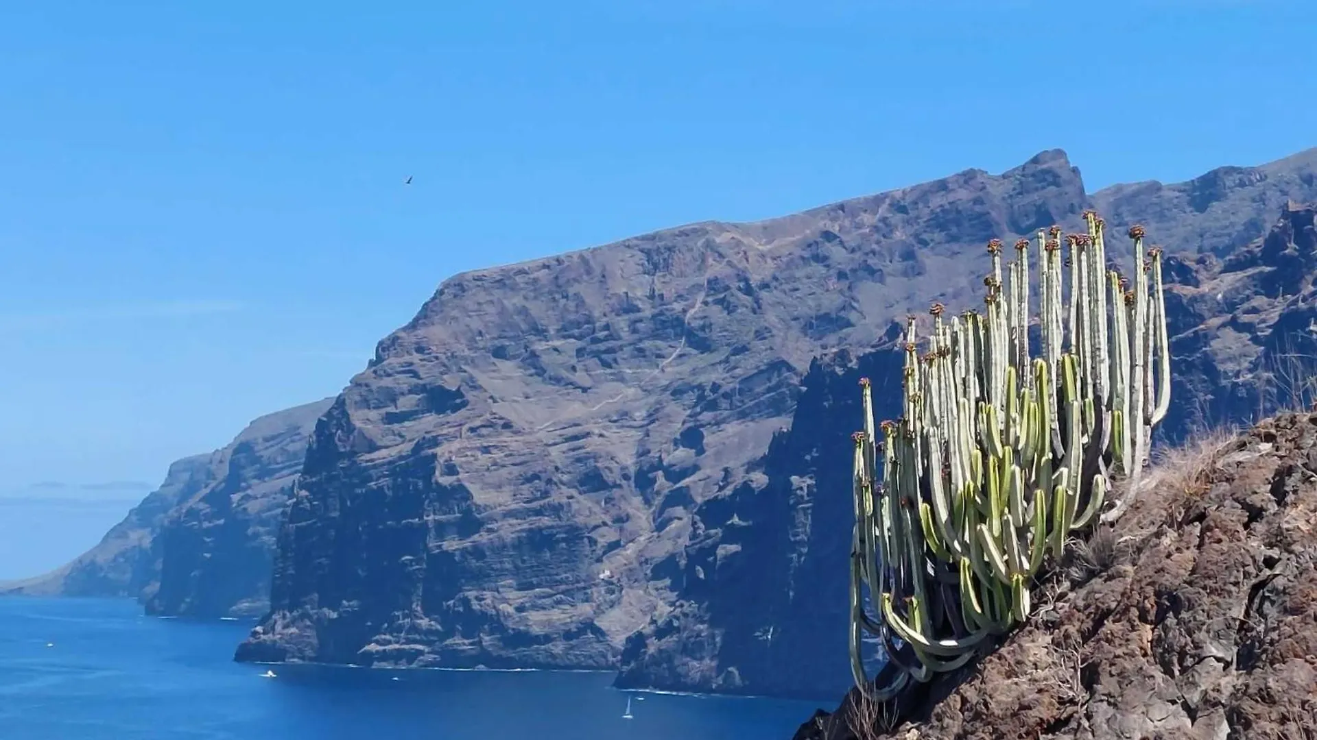 Apartamento De Un Dormitorio En Mareverde E14 Costa Adeje  Appartement Costa Adeje (Tenerife)